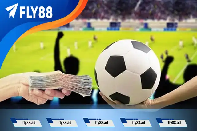 Tìm hiểu về bí quyết soi kèo bóng đá hiệu quả Tìm hiểu về bí quyết soi kèo bóng đá hiệu quả