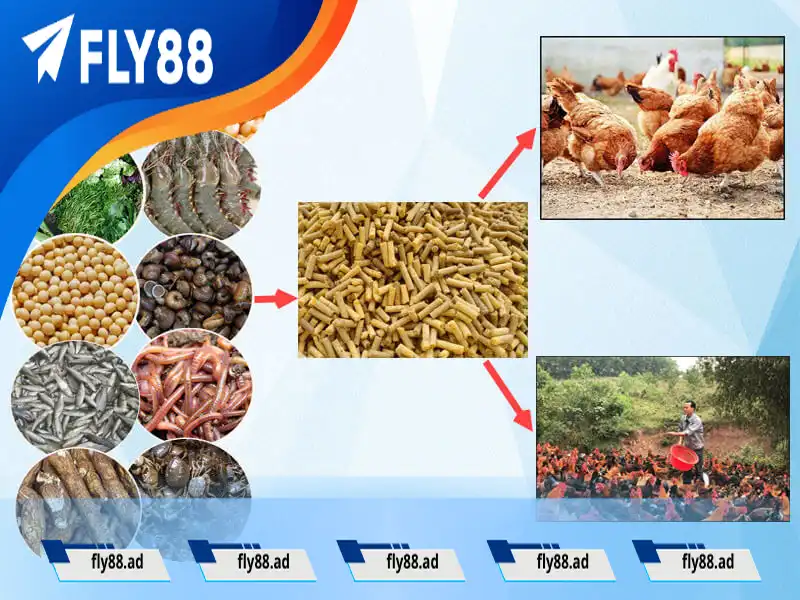 Thực phẩm bổ sung dinh dưỡng Thực phẩm bổ sung dinh dưỡng